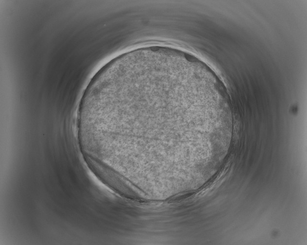 X0000116791535201001151051