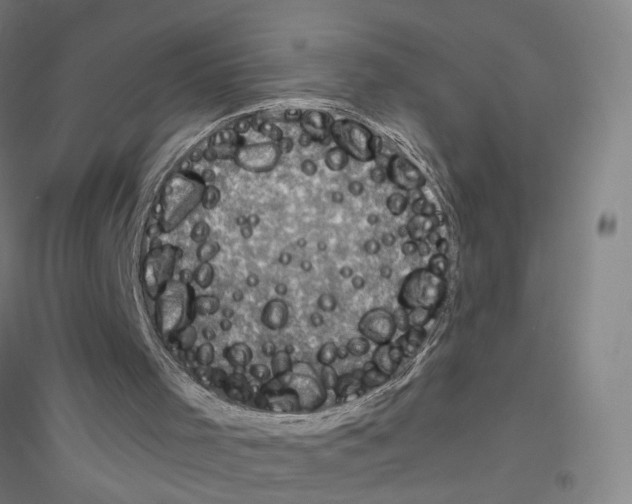 X0000116790001201001291529