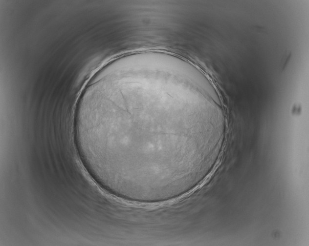 X0000116790002201001291529