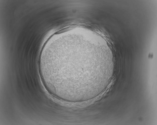 X0000116790003201001291529
