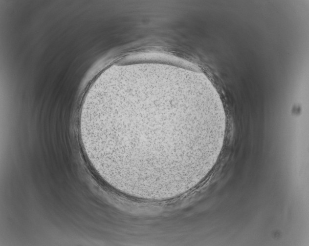 X0000116790004201001291529
