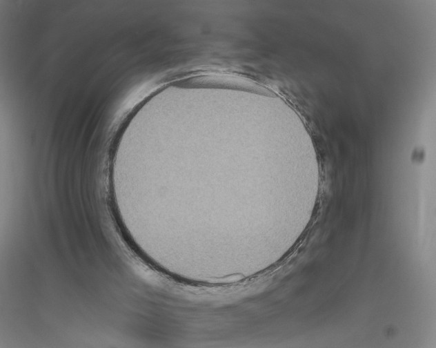 X0000116790005201001291529