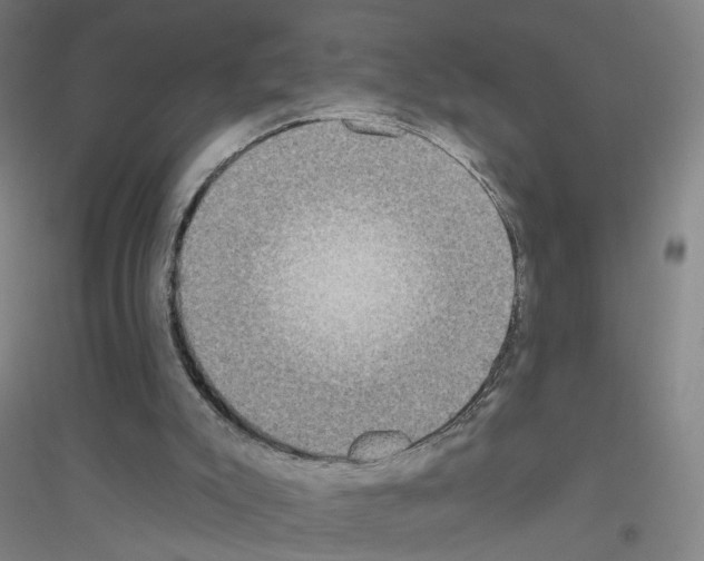 X0000116790007201001291529