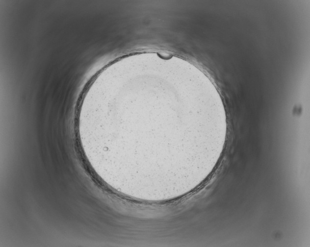 X0000116790008201001291529
