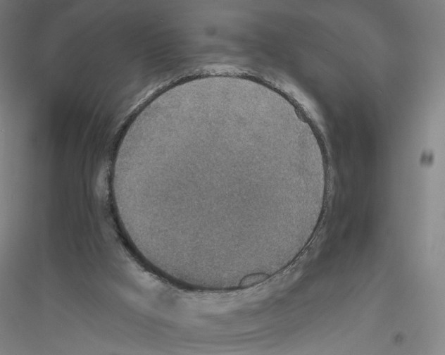 X0000116790009201001291529
