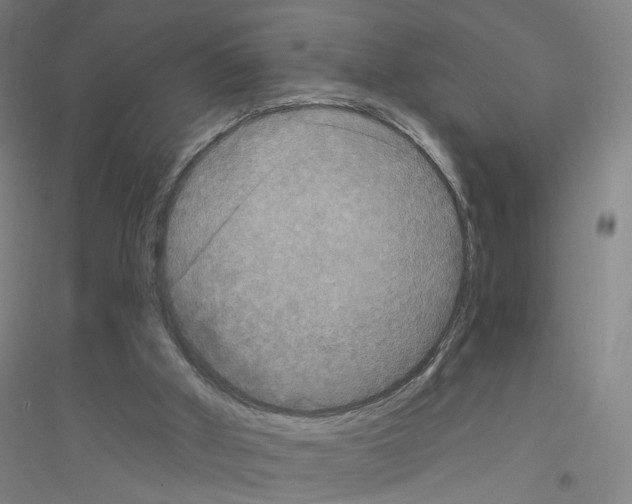 X0000116790010201001291529