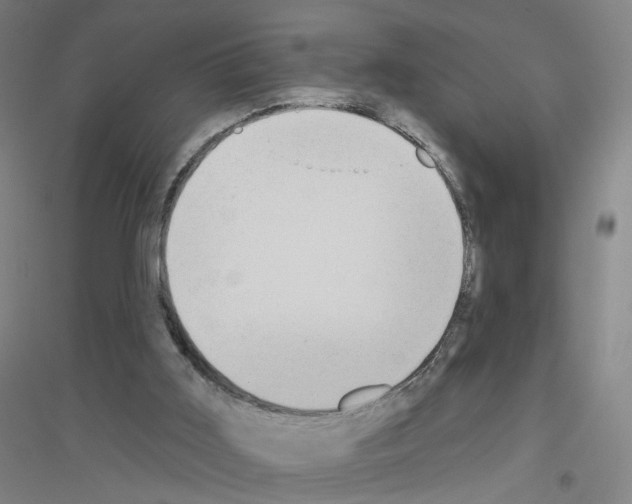 X0000116790011201001291528