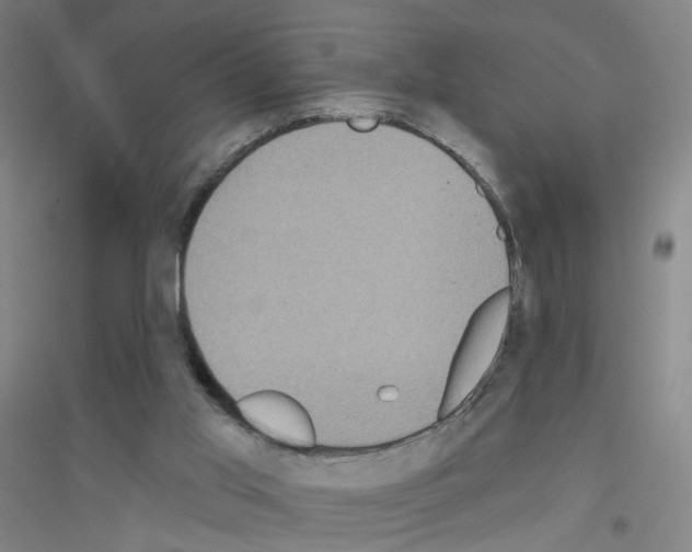 X0000116790013201001291528