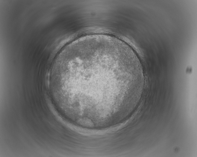 X0000116790014201001291528