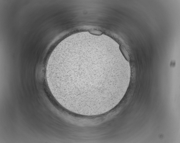 X0000116790016201001291528
