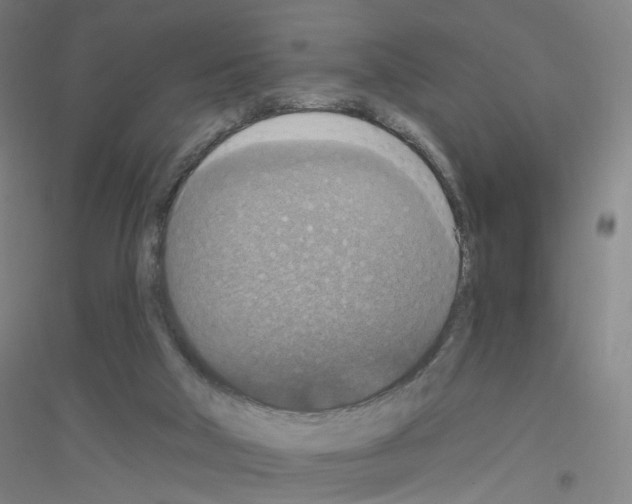 X0000116790018201001291528