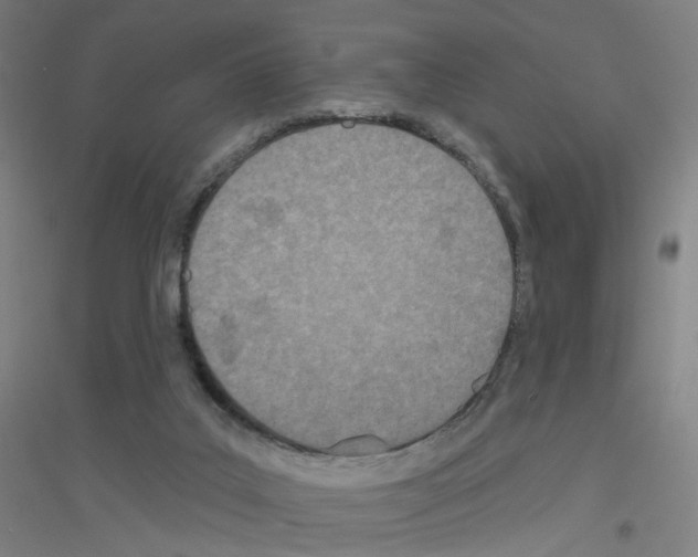X0000116790019201001291528