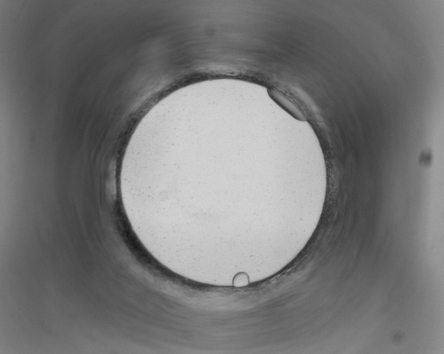 X0000116790020201001291528