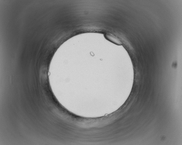 X0000116790021201001291528