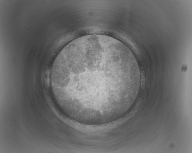 X0000116790022201001291528