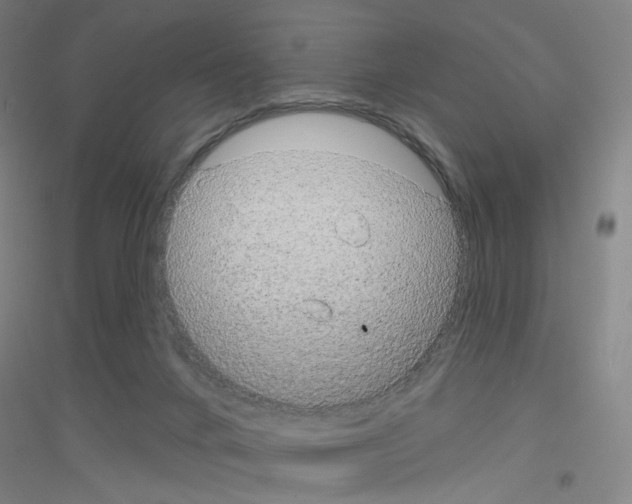 X0000116790024201001291528