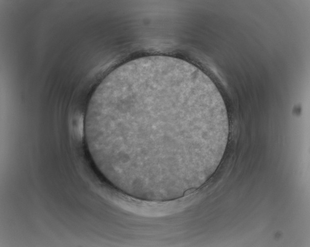 X0000116790027201001291528