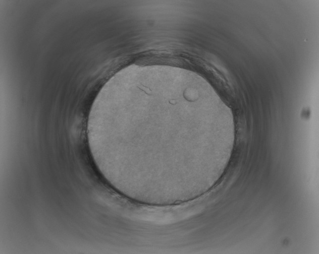 X0000116790029201001291528