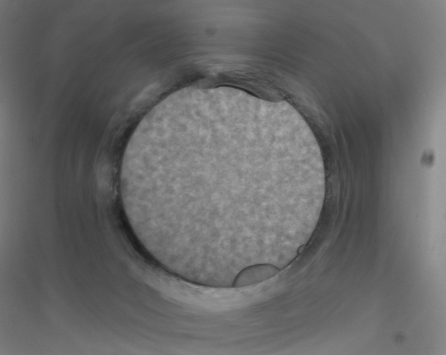 X0000116790031201001291528