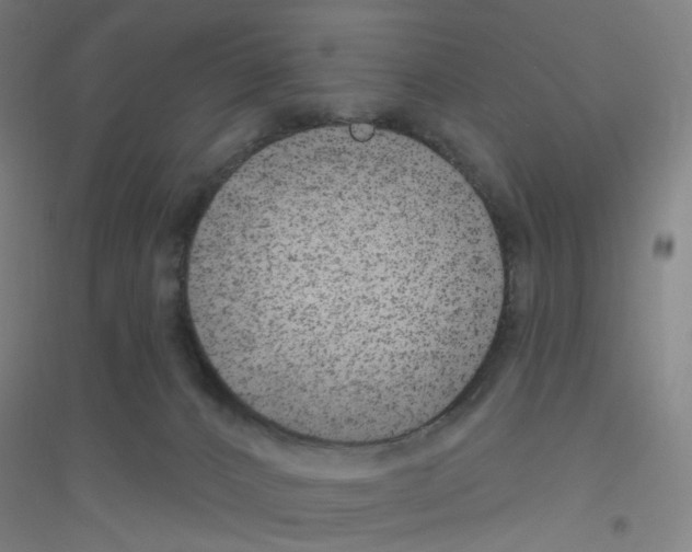 X0000116790032201001291528