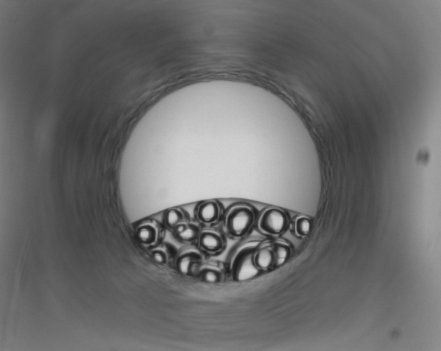 X0000116790033201001291528