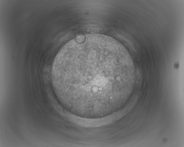 X0000116790034201001291528