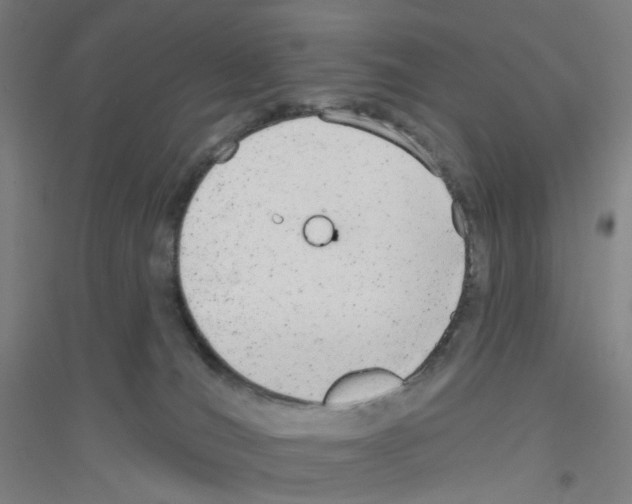 X0000116790036201001291528