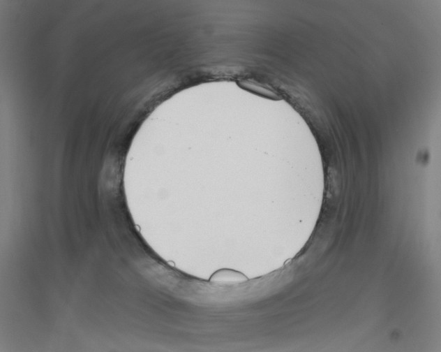 X0000116790037201001291528