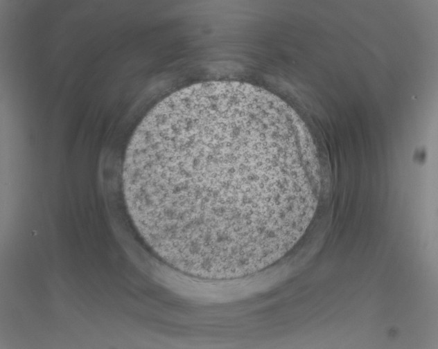 X0000116790038201001291528