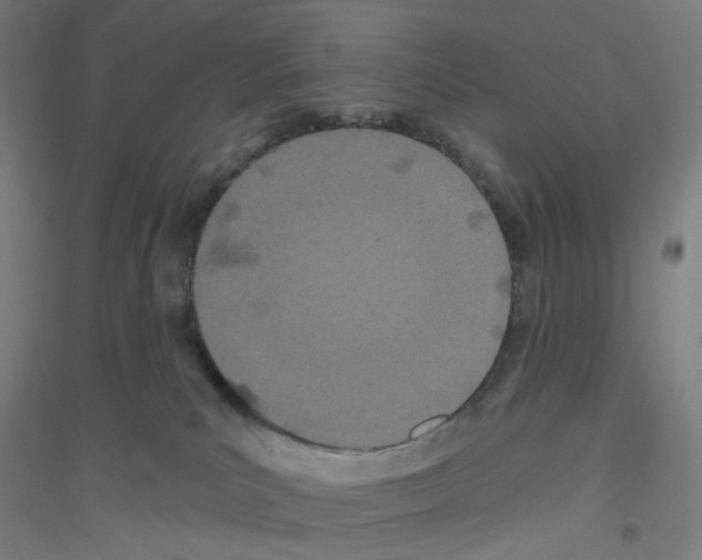 X0000116790039201001291528
