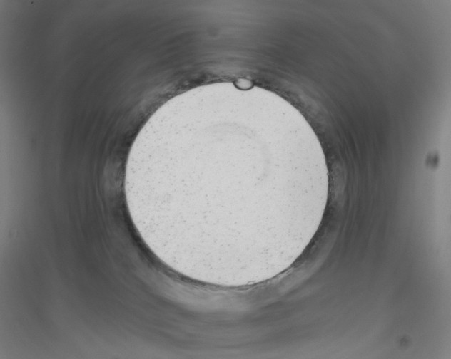 X0000116790040201001291528