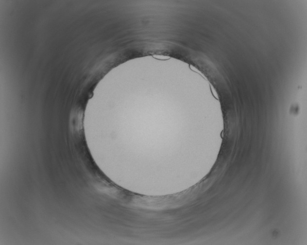 X0000116790041201001291528