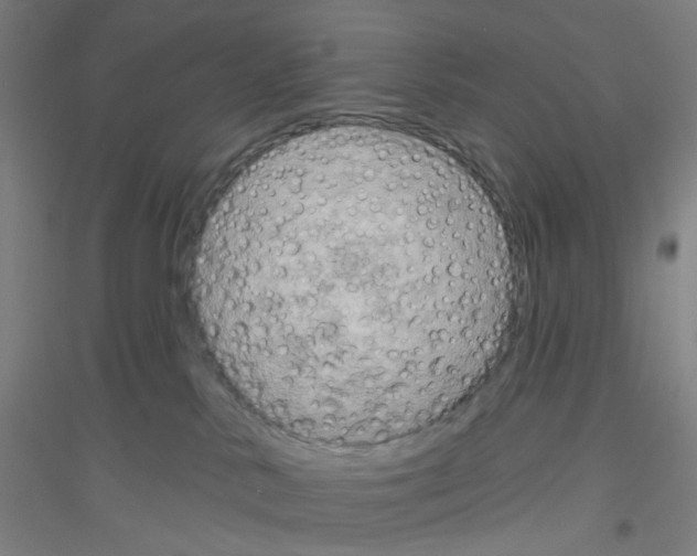 X0000116790042201001291528
