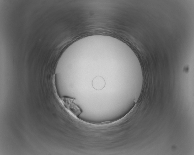 X0000116790043201001291528