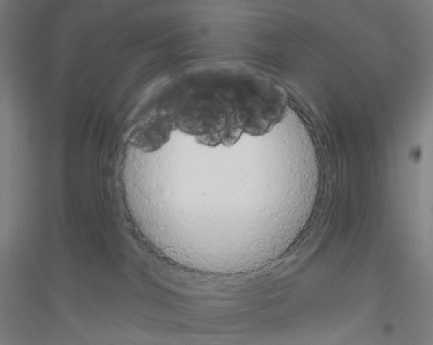 X0000116790044201001291528