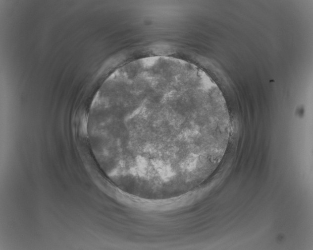 X0000116790046201001291528