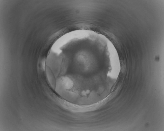 X0000116790047201001291528