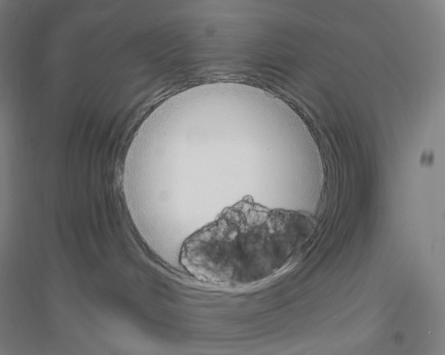 X0000116790048201001291528