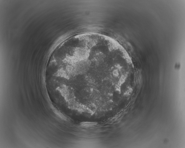 X0000116790051201001291527