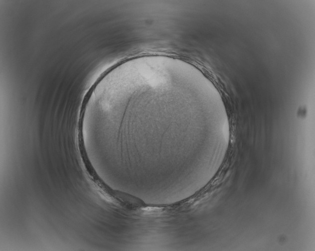 X0000116790052201001291527