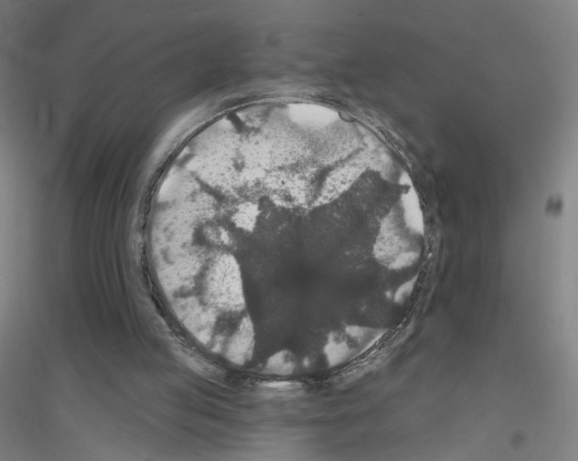 X0000116790053201001291527