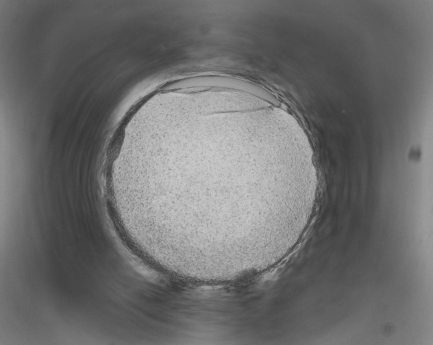 X0000116790054201001291527