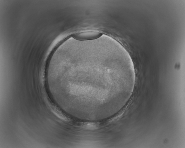 X0000116790056201001291527