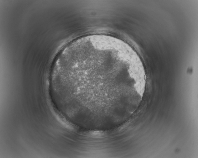 X0000116790059201001291527