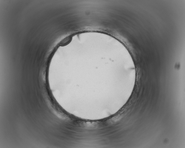 X0000116790060201001291527