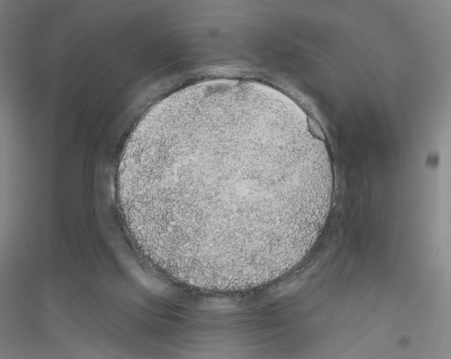 X0000116790061201001291527