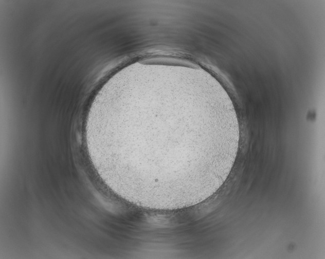 X0000116790062201001291528