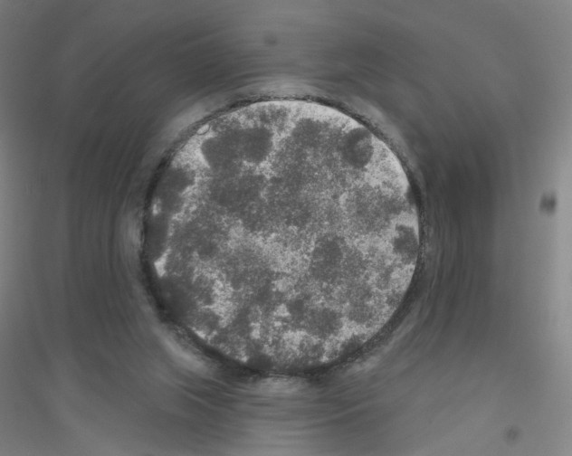 X0000116790063201001291528