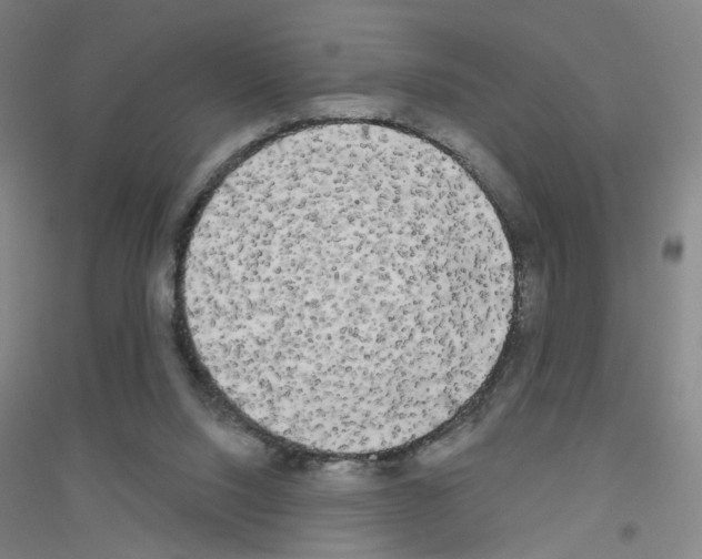 X0000116790064201001291528
