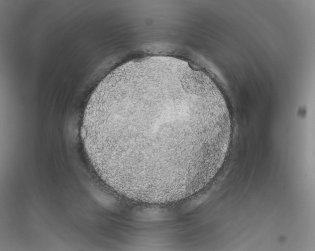 X0000116790065201001291528